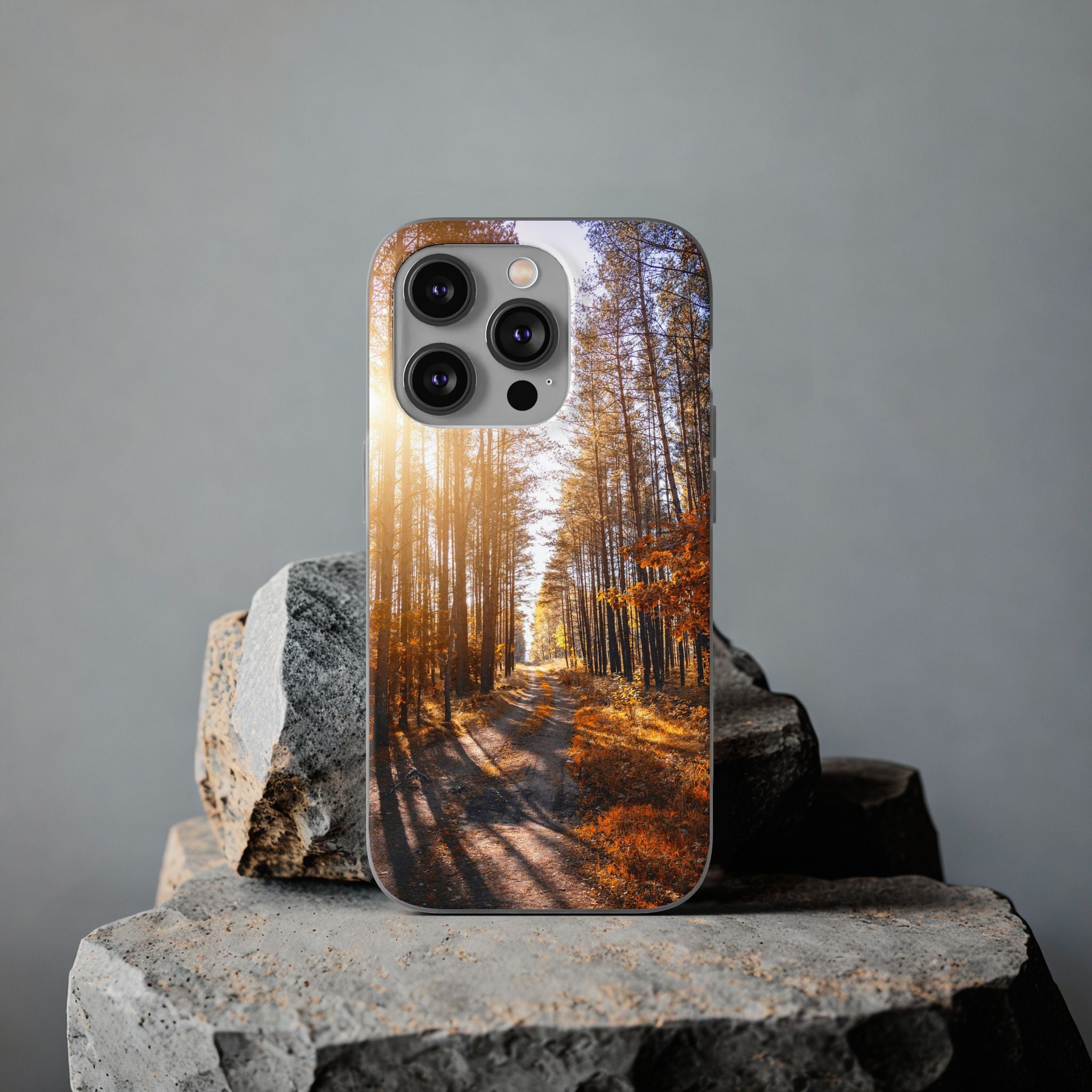 Autumn Forest Way Flexi Case - Apple iPhone