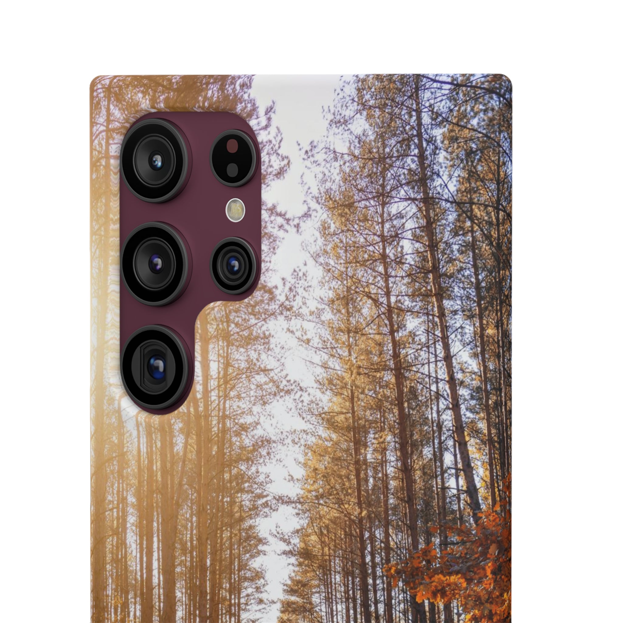 Autumn Forest Way Snap Case - Samsung Galaxy Case